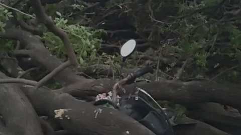 Two Dead Due to Garden Wall Crash Amid Heavy Storm