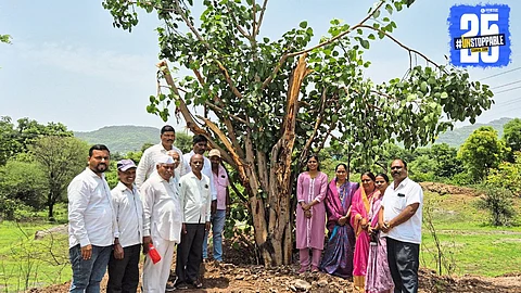 Villagers of Vele rejuvenate the historic banyan tree as part of Vat Purnima and environmental conservation efforts.