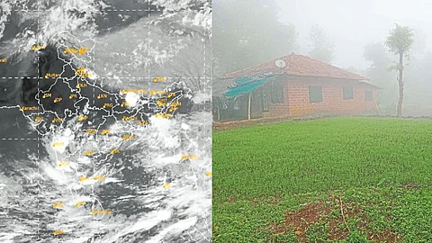 Monsoon Update