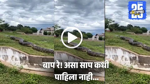 Viral Video