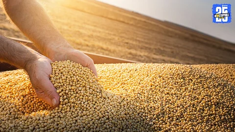 Soybean Seed Distribution
