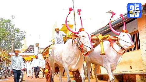 Ashadhi Wari 2025