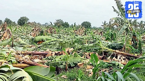 Storm-ravaged Shevgaon: Fruit orchards destroyed, one woman dead, and farmers in deep distress.