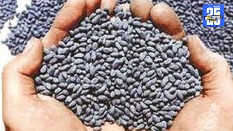 Cotton Seed Fraud