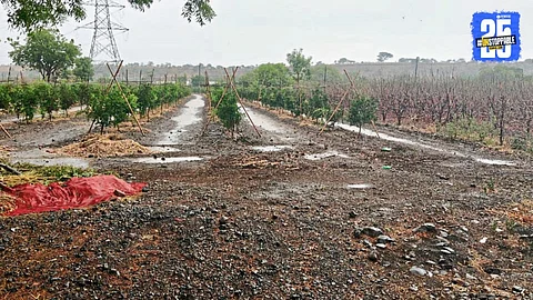 Maharashtra Farmers