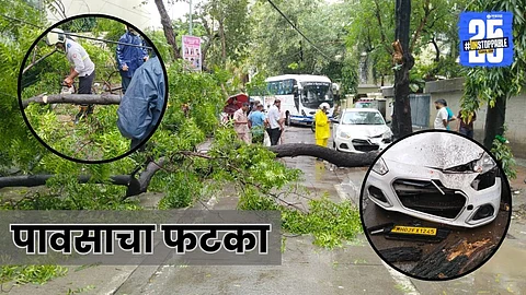 tree collapsed due to rain in Mumbai