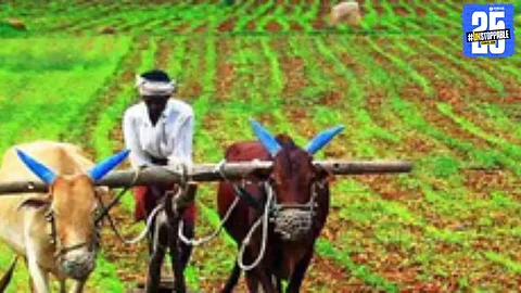Dry farmland awaits rain as frustrated farmers face delays in ploughing and sowing; only 17% sowing completed.