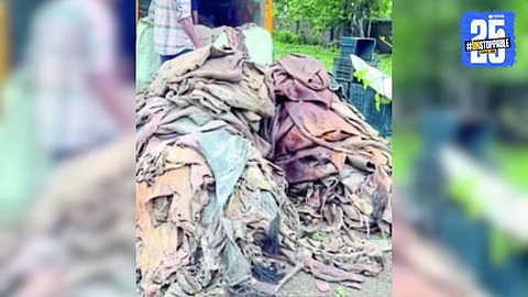 Cow skin seized akola