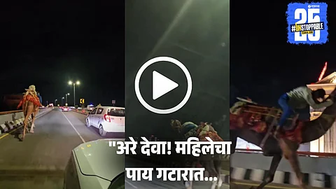 Viral Video: