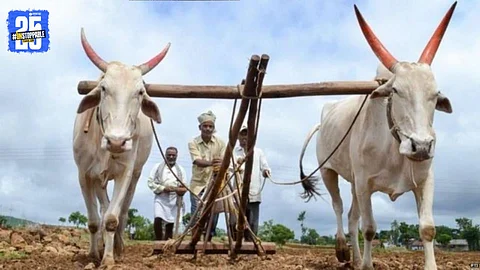 Kharif Sowing