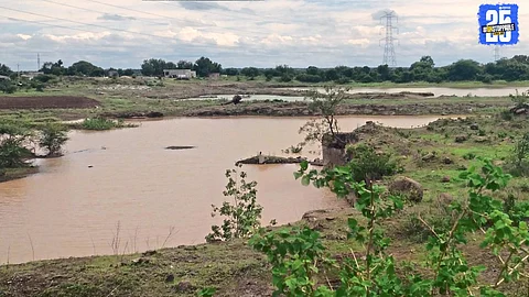 Fish Farming