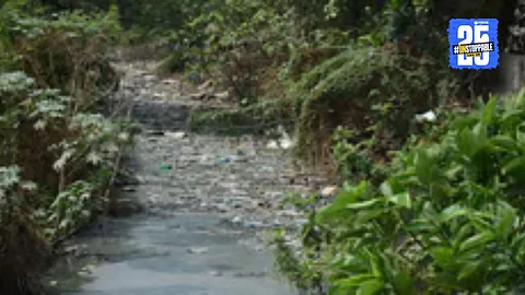 100% Sewage Treatment a Must for Local Bodies, Say Experts
