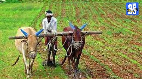 Agriculture News