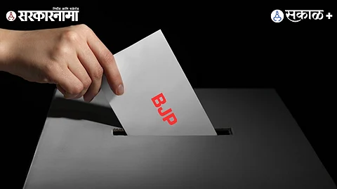 BJP voter base