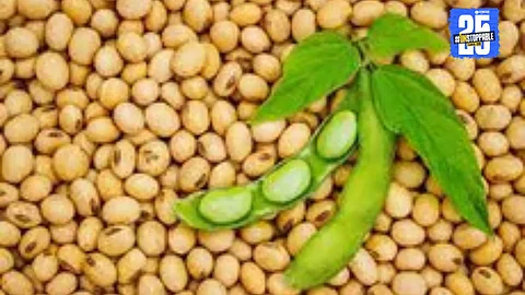 Kharif Season Begins with Irregularities in Free Seed Distribution in Koregaon