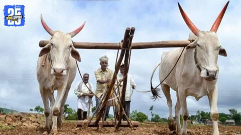 Agriculture Crisis