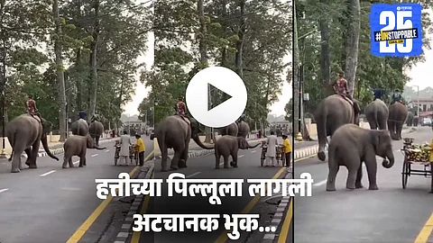 Viral Video
