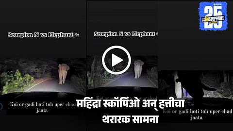Viral Video