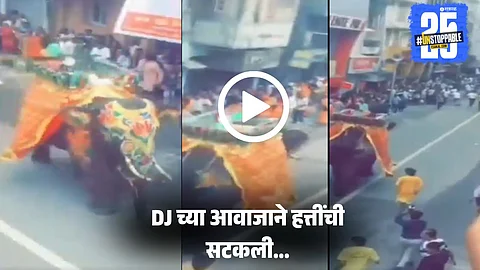Viral Video