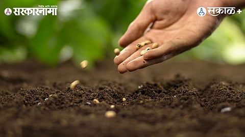 Kharif season Maharashtra