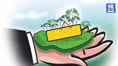 Land Regularization