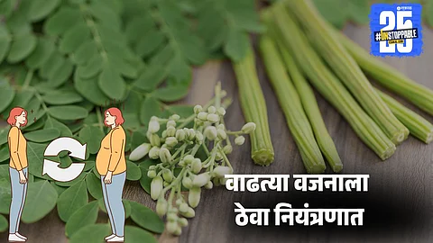 Moringa water for weight loss during monsoon