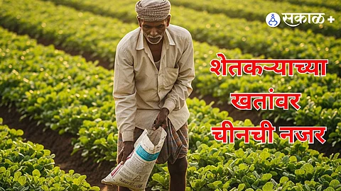 India's agriculture hit as China halts fertiliser shipments—over 1.5 lakh tonnes stuck at ports.