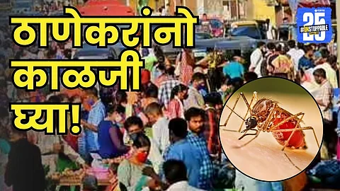 Dengue epidemic in Thane