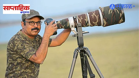 Bird Photographer