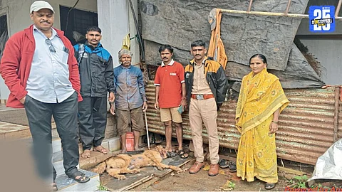 Leopard kills a dog in Ranjani village; growing movement in the area triggers panic among locals.