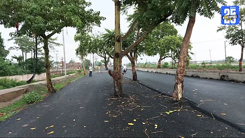 India: ₹100 Crore Road Built Without Cutting Trees, Photos Go Viral