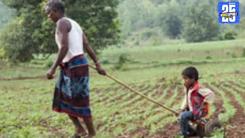 20 Lakh Farmers Skip Repayment Hoping for Loan Waiver: Crisis Deepens