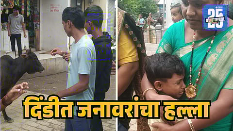 Animal attack in wari