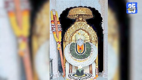 Ashadhi Ekadashi Celebration At Shegaon