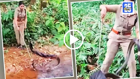 Officer GS Roshni king cobra