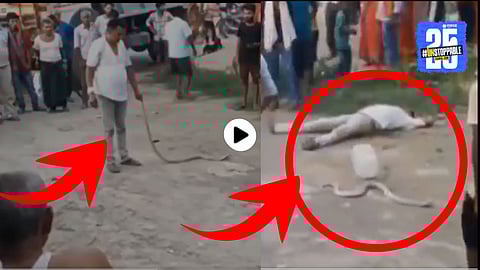 JP Yadav, a well-known snake rescuer from Bihar, moments before he was fatally bitten by a cobra during a rescue operation