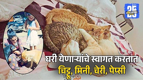 The Woman Who Lives With 10 Cats and 3 Dogs Like Family