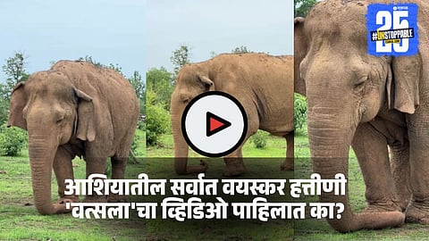 Asia’s Oldest Elephant ‘Vatsala’ Dies at 109