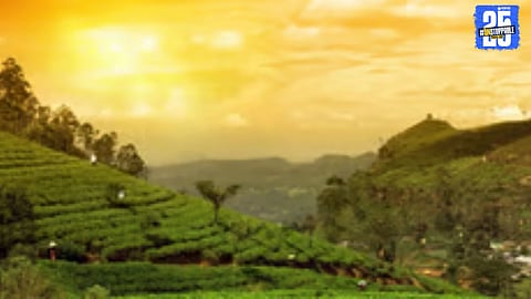 Forest officials to begin land measurement at Boramani prayer site; encroachment dispute likely to be resolved soon.