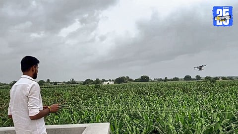 Drone spraying fungicides on affected banana fields to combat leaf spot disease and protect yield quality