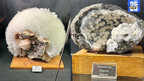 Glimpse of Sakur’s rare geodes now displayed at the iconic Gargoti Museum in Sinnar — a true gem of India’s mineral heritage