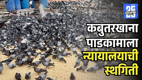 Mumbai Kabutarkhana