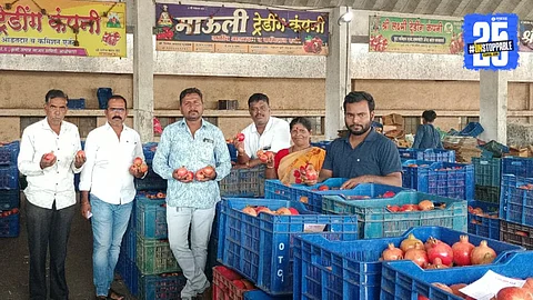 pomegranate price hike