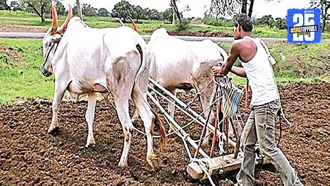 Parner Kharif Sowing