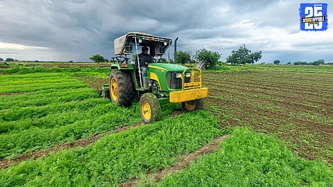 Helpless farmer runs rotavator over fully-grown dill and coriander crops due to poor market rates and heavy losses.