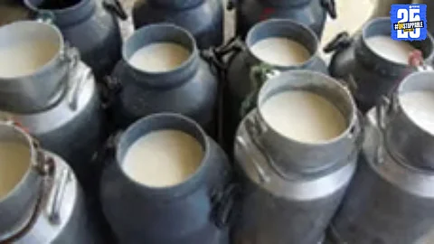 Rs 42 Crore Milk Subsidy not Released to Maharashtra Farmers