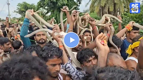 Viral Video