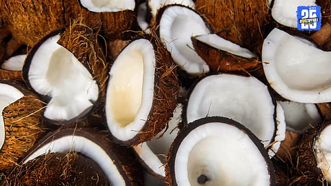 Coconut Price