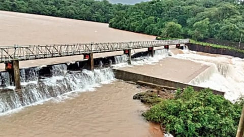 radhanagari dam water