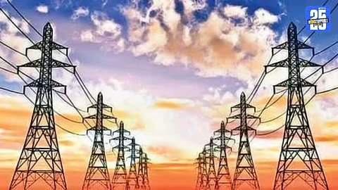 Electricity Consumers